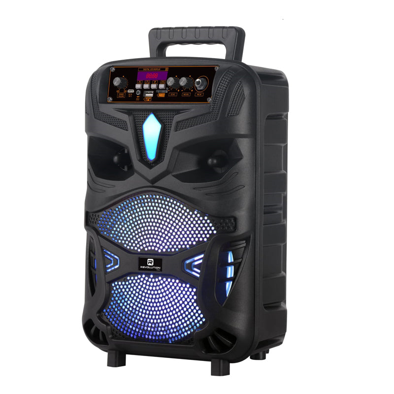 Haut Parleur HIFI 55